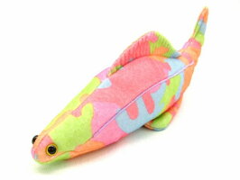 Haikouichthys