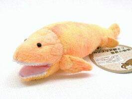 Panderichthys