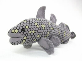 Indonesian Coelacanth
