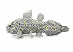 Western Indian Ocean Coelacanth