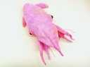 深海魚シリーズ コウモリダコ サイズ:27cm...