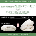 CILブラックラベルシングルシングルロング150×210cmダウン95%羽毛布団布団ふとん掛け布団掛布団羽毛掛け布団羽毛掛ふとん国産日本製【7年保証】送料無料送料込み