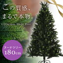 クリスマスツリー 180cm クリスマス ツリー ヌードツリ...