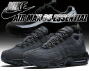 最大2,000円OFFクーポン発行中!★プライスダウン★【送料無料 ナイキ エア マックス 95 エッセンシャル】NIKE AIR MAX 95 ESSENTIAL anthracite/anthracite-blk