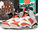 3,000OFFݥȯ!!ڤб!!̵ۡ ʥ 硼 6NIKE AIR JORDAN 6 RETRO 