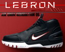 【送料無料 ナイキ エアズームジェネレーション】NIKE A...