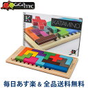 [ ] Gigamic MK~bN Katamino J^~m ؐpY ]g m 200102/152501 {[hQ[  