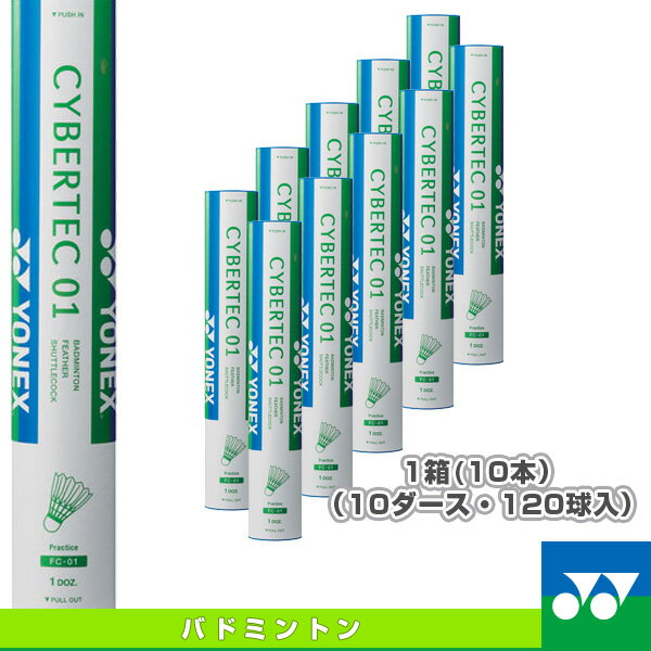 サイバーテック 01／CYBERTEC 01『10本（10ダース・120球入）』（FC-0…...:luckpiece:10091503