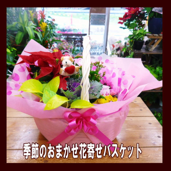 【御中元】【花鉢　バスケット】季節の花鉢バスケット！当店おまかせ季節のお花5.6鉢入り【送料無料】御祝・記念日・結婚祝い プレゼント 発表会 新築祝い 結婚記念日 移転祝い 贈り物 退職祝い 出産祝い 寿 退職 お歳暮　スイーツ