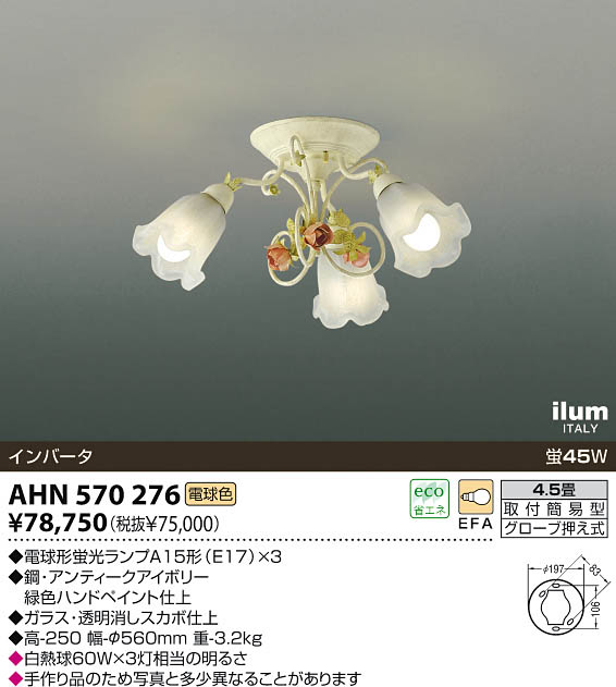 yKOIZUMIzAHN570276
