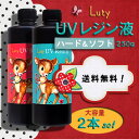 ◆全国送料無料!【Luty/ルティ】高品質UVレジン液(紫外線硬化樹脂)ハード1本&ソフト1本セット(大容量250g) <ラッピング不可>