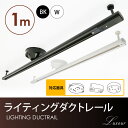 【誕生祭!】ライティングダクトレール ブラック ホワイト ダクトレール スポットライト インテリア 天井専用 ライティングレール(LUX-DR)
