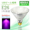 植物ライト LED E26 100形相当 植物育成ライト 水耕栽培 ビーム球 PAR30 ビーム角38°防湿 防雨 屋外 屋内兼用 植物育成ランプ 室内栽培 植物育成灯 アクアリウム 水草水槽 野菜工場 植物工場 植物育成ライト 高効率 ビーム球 光合成色素 100W以上(lux-sx006-1326)
