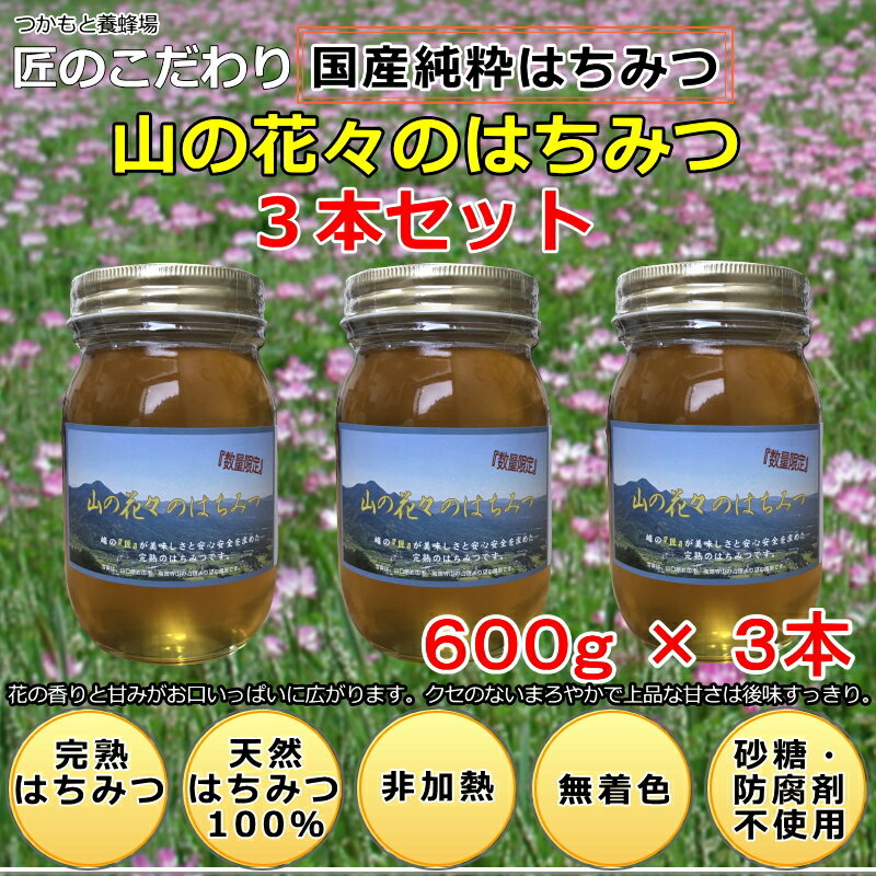 つかもと養蜂場 塚本養蜂場　健康　自然食品 健康食品　はちみつ　完熟純粋蜂蜜　<strong>国産</strong>　生はちみつ　<strong>非加熱</strong>　天然はちみつ　純粋はちみつ　蜂蜜　無添加 無農薬　<strong>オーガニック</strong>　免疫力アップ　蜂蜜専門店　送料無料　<strong>国産</strong>蜂蜜　<strong>国産</strong>はちみつ　<strong>国産</strong>天然蜂蜜　<strong>国産</strong>天然はちみつ