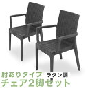 ガーデン ガーデンチェア エクステリア イス チェア キャンプチェア 肘付きチェア 肘付き ラタン調 モダン