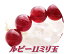 宝石質ビーズ ルビーAAAA 11.0ミリ玉 1粒 16,200円