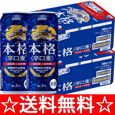 【送料無料】キリン　本格　辛口麦　500ml×2ケース（48本） 【お中元　御中元】【RCPmara1207】