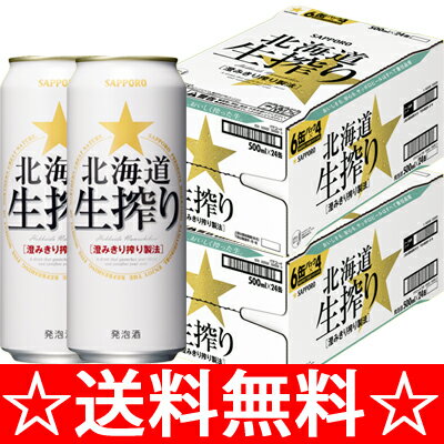 【送料無料】サッポロ　北海道　生搾り　みがき麦　500ml×2ケース（48本） 【お中元　御中元】【RCPmara1207】