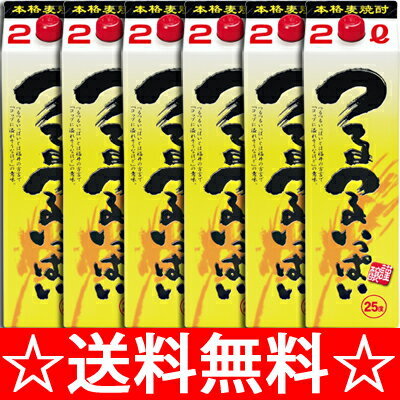 老松酒造　25°つるつるいっぱい（麦焼酎）　2Lパック×6本（1ケース）【送料無料】【つるつるいっぱいとは福井の方言でグラスにお酒がなみなみに注がれている状態】【お中元　御中元】【RCPmara1207】