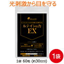 ルテイン サプリ ルテインの力EX 60粒 ブルーライト など光の刺激から 目 を保護 機能性表示食品 ファイトケミカル ビルベリー 紅花油 亜鉛 黒生姜 ビール酵母 シトルリン ビタミンB サプリメント