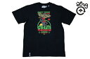 SALE メリマ価格 LRG Tシャツ GREEN TOMORROW TEE BLK E111013 【 メンズ LRG Tシャツ / スケーター / ストリート / レゲエ エルアールジー ラスタ/B系 / メール便可 / あす楽 】