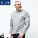 大きいサイズ メンズ Arnold Palmer (アーノルドパーマー) 抗菌消臭 天竺 ロゴプリント クルーネック 長袖 Tシャツ Tシャツ 長袖 ロンT プリント コットン クルー 春 秋 冬 2771902Z