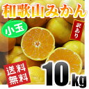 和歌山みかん 小玉 訳あり 10kg 和歌山県産 送料無料(...