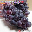 和歌山県産 訳あり ピオーネ 種なしぶどう 約2kg 4~5房 送料無料!(北海道、沖縄県、東北地方除く) ぶどう ブドウ 葡萄 種なし ニューピオーネ ご家庭用
