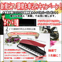 150件レビュー!9月 新規ピアノ調律特別キャンペーン!ポイント10倍で限定プレゼント オシャレなピアノカバー♪&ビックチャンス!抽選プレゼントあり何年空いていても只今、定額料金!愛知・岐阜・三重の方!【新品ピアノ】【中古ピアノ】【名古屋のピアノ専門店】