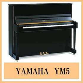 ʥԥΡYAMAHAޥϡYM5