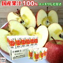 葉とらず りんごにんじんミックスジュース 青森産 青研 125ml 30本 4ケース ストレート100%果汁 無添加 ジュース 送料無料 お歳暮