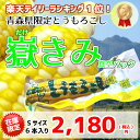 嶽きみ (真空パック) Sサイズ6本セット だけきみ 【とうもろこし】とうきび 青森県産 ダケキミ トウモロコシ コーン ひげ茶