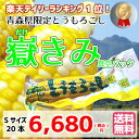 【送料無料】嶽きみ (真空パック) Sサイズ20本セット【とうもろこし】青森県産 岩木山麓 だけきみ トウモロコシ コーン ひげ茶 楽天スーパーSALE