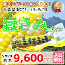 【送料無料】嶽きみ (真空パック) Sサイズ30本セット【とうもろこし】青森県産 岩木山麓 だけきみ トウモロコシ コーン ひげ茶