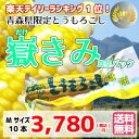 【送料無料】嶽きみ (真空パック) お得なMサイズ10本セット【とうもろこし】青森県産 岩木山麓 だけきみ トウモロコシ コーン corn ひげ茶