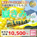 【送料無料】嶽きみ (真空パック) 超お得なMサイズ30本セット【とうもろこし】青森県産 岩木山麓 だけきみ トウモロコシ コーン ひげ茶