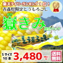 【送料無料】嶽きみ (真空パック) Sサイズ10本セット【とうもろこし】青森県産 岩木山麓 だけきみ トウモロコシ コーン ひげ茶 楽天スーパーSALE