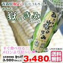白い嶽きみ とうもろこし あなた嶽のきみ Lサイズ 10本入...
