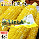 嶽きみ(真空パック) Lサイズ 30本 青森県産 だけきみ ...