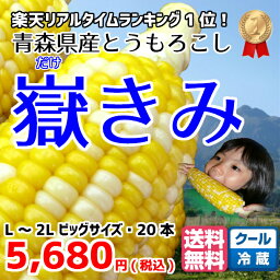 とうもろこし 嶽きみ だけきみ 青森県産 L-2L サイズ 20本入 送料無料 メロン より 甘い トウモロコシ ひげ茶 コーン とうきび 産地直送 誕生日 プレゼント や バーベキュー 新鮮 野菜 お土産