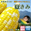 とうもろこし 嶽きみ だけきみ 青森県産 L-2L サイズ ...