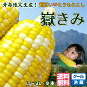 とうもろこし 嶽きみ だけきみ 青森県産 L-2L サイズ ...