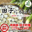 田子にんにく バラ ニンニク 500gお試し 国産 田子にんにく 産地直送 福地ホワイト六片 【送料無料】 【青森県産】 【メール便】