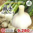 田子にんにく 青森県産 にんにく 3kg Sサイズ 送料無料 たっこにんにく 国産 ニンニク 福地ホワイト六片 産地直送