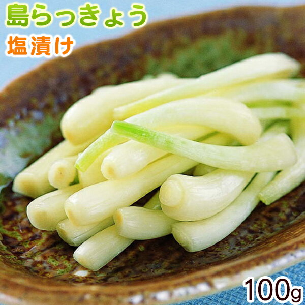 沖縄産 島らっきょうの塩漬け100g