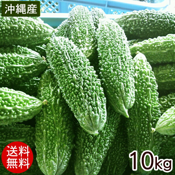 沖縄産 ゴーヤー 約10kg（40〜50本）【送料無料】［冷蔵発送］...:ma-sanichi:10000765