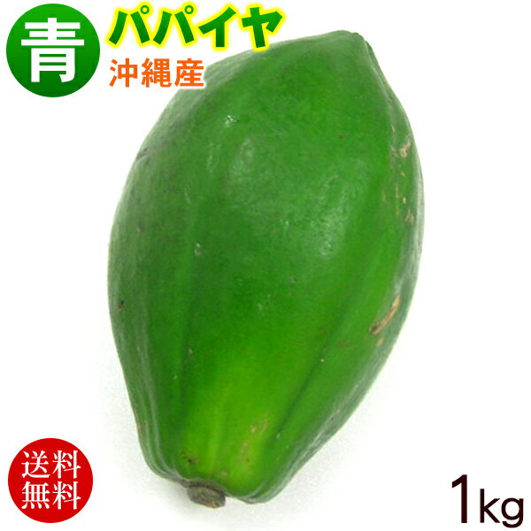 沖縄産 青パパイヤ 約1kg（1〜3玉）　│沖縄野菜 パパイヤの実 パパイヤ酵素│...:ma-sanichi:10000751