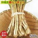 沖縄産 島らっきょう（生）500g