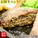 【送料無料】石垣牛ハンバーグ 100g×10個 (冷凍) │黒毛和牛ハンバーグ│