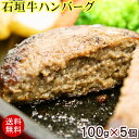【送料無料】石垣牛ハンバーグ 100g×5個 (冷凍) │黒毛和牛ハンバーグ│